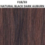 Perruque Whitney Cheveux Naturels Gamme Wig Fashion Sleek hair Couleur F1B/33