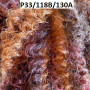 Perruque Marina Wig Fashion Couleur P33/118B/130A