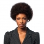 Perruque Afro Cheveux Naturels gamme Wig Fashion de Sleek hair