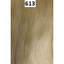 Perruque Veradis Synthétique Lace Parting- Spotlight Sleek color 613