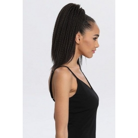 Postiche SOLE Gamme eZ Ponytail Synthétique - Sleek hair