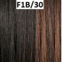 Perruque Fern Synthétique de Sleek hair Couleur F1B/30