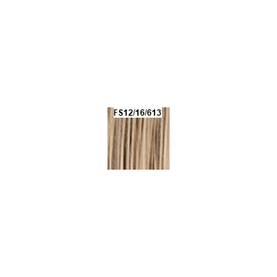Perruque Fern Synthétique de Sleek hair Couleur FS12/16/613