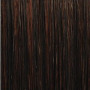 Perruque Flapper Synthétique FS - Sleek hair Couleur F1B/99J