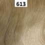 Perruque Kisly Synthétique - Sleek hair Couleur 613