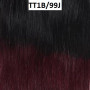 Perruque Amandine Cheveux Naturels - Gamme Spotlight de Sleek hair Couleur TT1B/99J