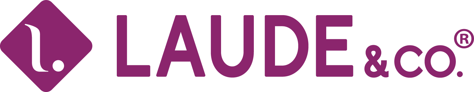 Postiche Remy Illusion Pony Bouncy